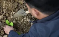 Sùng A Lầu - người gieo những mầm xanh trên đá