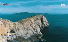 Đa dạng sản phẩm nâng cao giá trị thương hiệu.