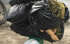 Truy tìm đối tượng giả vờ bán rau để vận chuyển cần sa