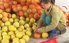 Bưởi Bắc Giang xuất sang Nga