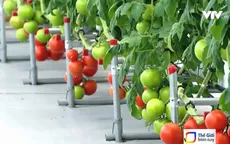 Giới trẻ Hàn Quốc biến đất nông nghiệp thành những "mỏ vàng"