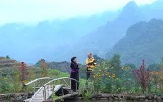 Cô gái Tày và hành trình mang du lịch lên bản vùng cao