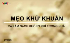 Làm sạch không gian sống bằng những cách đơn giản mà hiệu quả