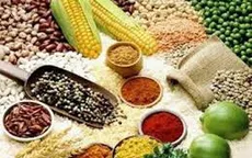 Giá nông sản phục hồi