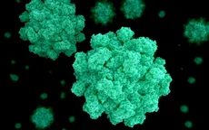 Phát hiện 200 ca nhiễm Norovirus từ một sòng bạc tại Mỹ