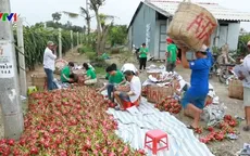 Nông sản Việt lo đáp ứng rào cản kỹ thuật tại EU