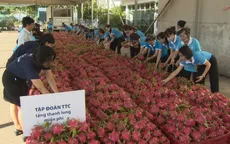 TP.HCM chung tay tiêu thụ thanh long cho nông dân