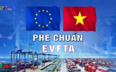 Phê chuẩn EVFTA và EVIPA: Việt Nam - Đối tác tin cậy của châu Âu