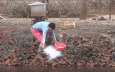 Ba chàng ngốc – Nụ cười châm biếm về vấn đề ô nhiễm môi trường