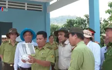 Kiểm tra tình hình khô hạn, phòng chống cháy rừng tại An Giang