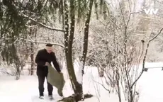 Vòng tuần hoàn của cây thông năm mới ở Nga