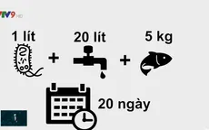 Hiệu quả  chế phẩm sinh học "nhà làm" tại Đồng Tháp
