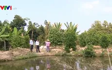 Độc đáo sáng kiến trữ nước chống hạn mặn ở Tiền Giang