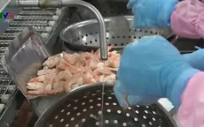 Cơ hội xuất khẩu tôm vào châu Âu