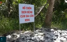 Phát hiện 2 ổ dịch cúm gia cầm tại Trà Vinh