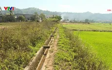 Giải pháp ứng phó với hạn hán hiệu quả tại Đắk Nông
