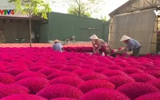 Làng sản xuất hương sạch an toàn cho sức khỏe