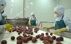 Còn nhiều tiềm năng và dư địa cho chế biến sâu nông sản