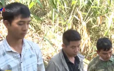 Bắt quả tang 3 đối tượng cưa hạ hàng loạt cây rừng
