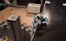 Robot có thể bò, trườn như rắn