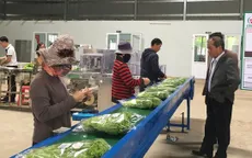 Cả nước có hơn 150 cơ sở chế biến rau quả quy mô công nghiệp
