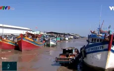Sóc Trăng không có tàu cá đánh bắt bất hợp pháp