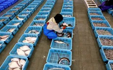 Thực phẩm từ Fukushima được phép nhập khẩu vào Singapore