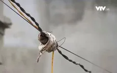 Khu đất dịch vụ Lại Yên, Hoài Đức vẫn chưa có điện nước