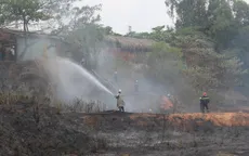 Hơn 250.000ha rừng có nguy cơ cháy cao