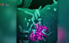 Mỹ thử nghiệm thuốc điều trị COVID-19 trên người