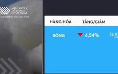 Giá bông giảm mạnh