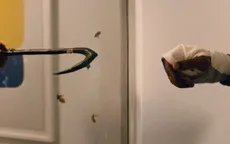 Siêu phẩm kinh dị "Candyman" của Jordan Peele chính thức tung trailer mới  vô cùng ám ảnh