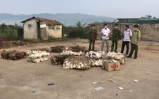 Điện Biên: Thu giữ 500 kg thịt gia cầm không có giấy chứng nhận kiểm dịch