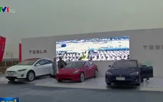 Tesla và cú tăng 200% giá trị cổ phiếu trong hơn nửa năm