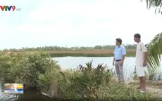 Không canh tác ngày nào nhưng được cấp quyền sử dụng đất