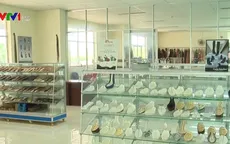 Ngành da giày giảm lệ thuộc nguồn cung nguyên phụ liệu