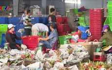 Cộng đồng chung tay tiêu thụ nông sản, ổn định thị trường