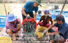 Liên kết tìm đầu ra cho sản phẩm tôm