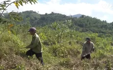 Nguy cơ cháy rừng cấp cực kỳ nguy hiểm tại Khánh Hòa