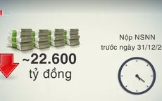 Đề xuất gia hạn nộp thuế và tiền thuê đất