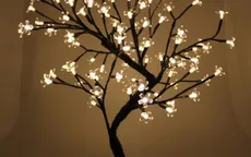 Mẫu đèn bàn độc đáo ai cũng thích mê