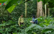 Tìm hiểu công việc của cán bộ kiểm lâm Vườn quốc gia Cúc Phương