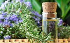 10 mẹo đơn giản giúp bạn ngăn bị muỗi đốt