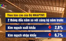 Bộ NN&PTNT tìm giải pháp gỡ khó cho DN thời dịch COVID-19