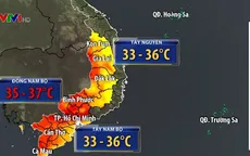 Cảnh báo cháy rừng ở Tây Nguyên và Nam Bộ