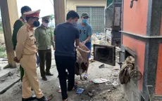 Bắc Giang: Tịch thu, tiêu hủy 2.500 kg da trâu không rõ nguồn gốc, xuất xứ