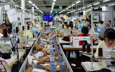 Đề xuất cần hồi tố để tháo gỡ khó khăn cho doanh nghiệp