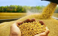 Giá nông sản Mỹ giảm mạnh