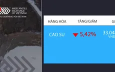 Giá cao su giảm mạnh
