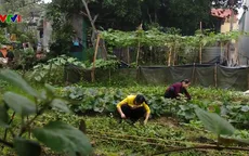 Chậm khởi tố vụ án, khởi tố bị can với đối tượng buôn người